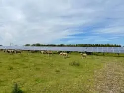 Organised Crime and Renewable Energy: What Recent Rural Theft Trends Mean for Solar Farm Security